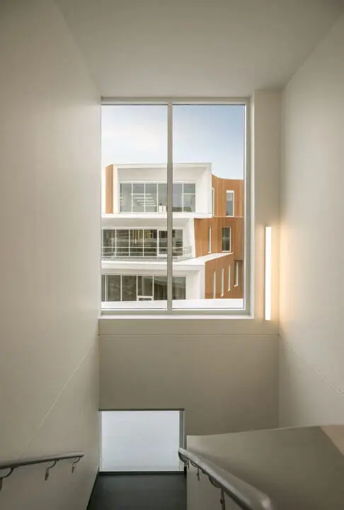 A view from the top of a stairwell looks through a tall window toward a stack of white-framed windows set against warm cedar siding.